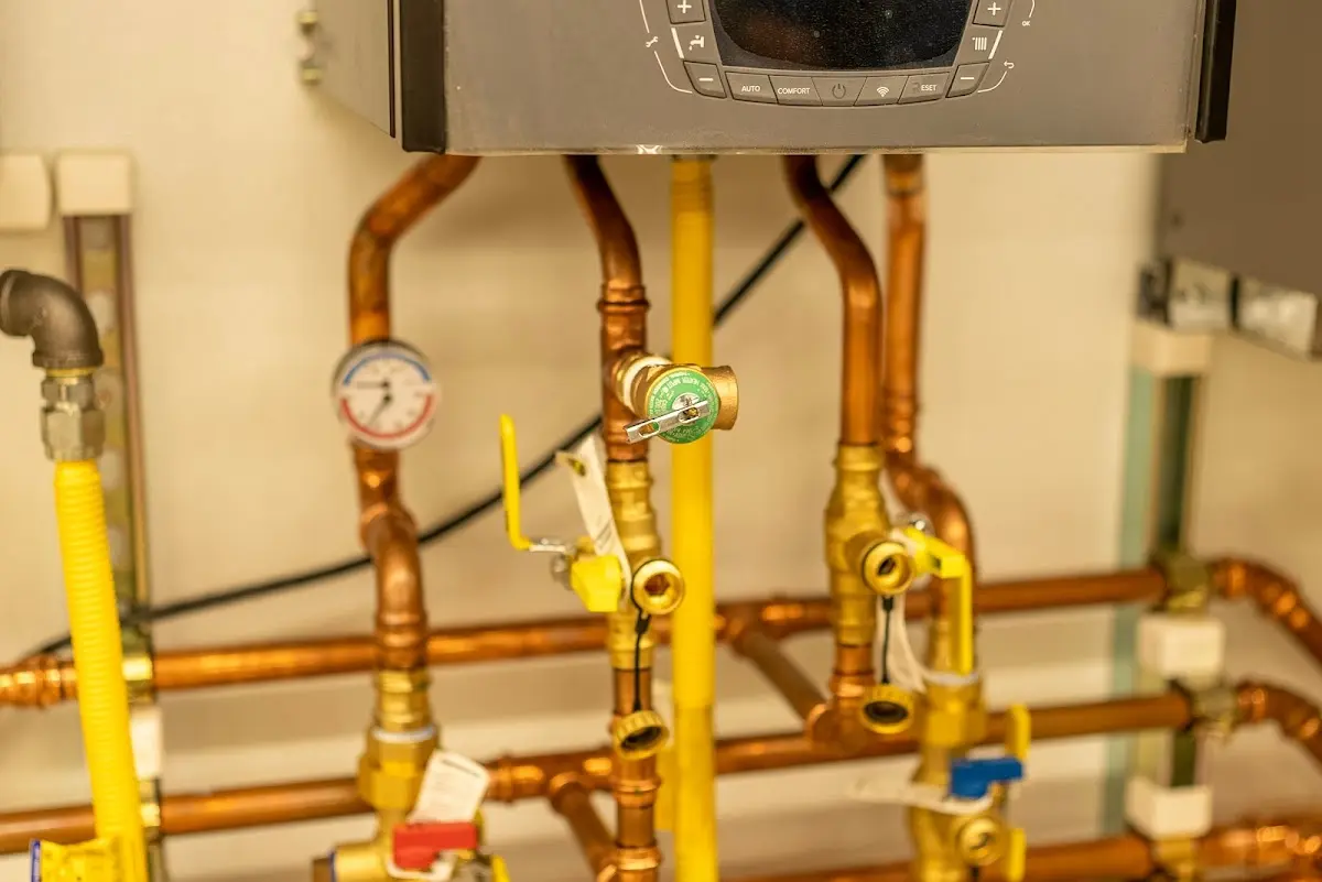 Licensed technician providing Sump Pump Repair for a homeowner in Lake Tapps